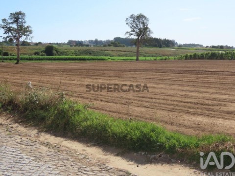 Lote em Aveleda, Vila do Conde