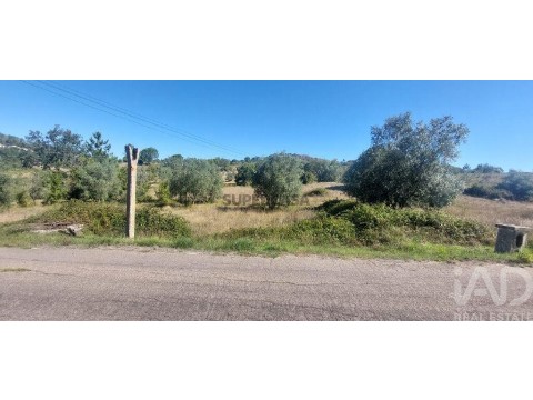 Lote em Colmeias e Memória, Leiria
