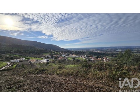 Lote em Lamas e Cercal, Cadaval