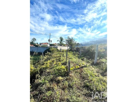 Lote em Subportela, Deocriste e Portela Susã, Viana do Castelo