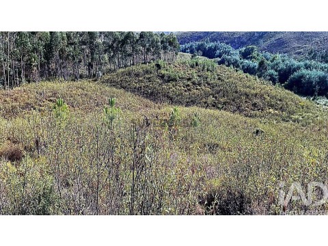 Lote em Mação, Penhascoso e Aboboreira, Mação