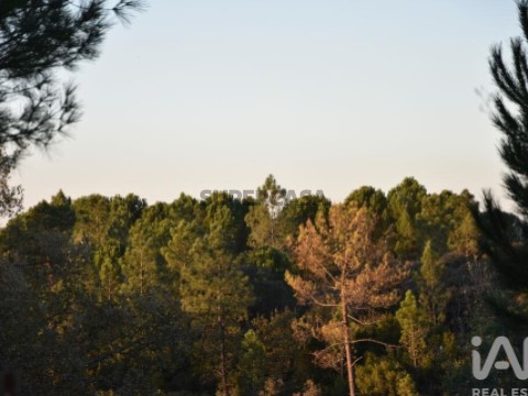Lote em Areias e Pias, Ferreira do Zêzere
