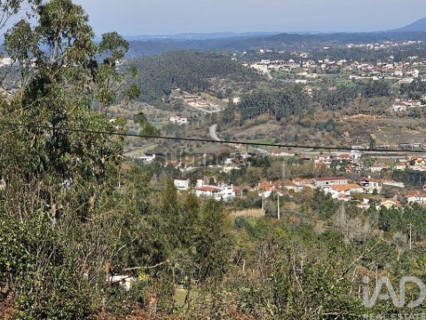 Moradia T0 em Pombal, Pombal