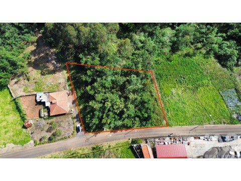 Lote em São Jorge, Santana