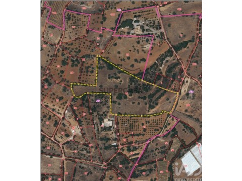 Lote em Estoi, Faro