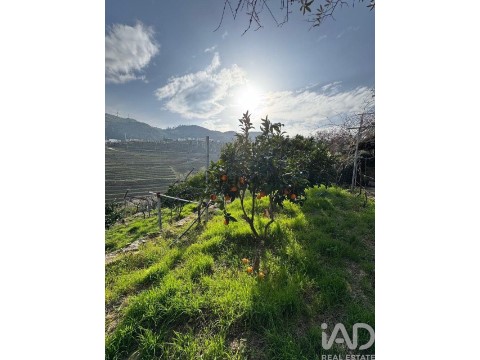 Lote em Tabuaço, Tabuaço