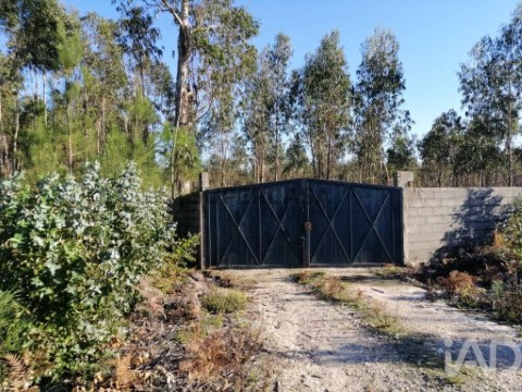 Lote em Monte Real e Carvide, Leiria