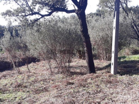 Lote em Monchique, Monchique