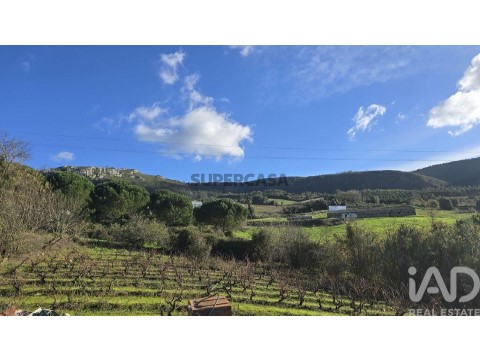 Lote em Lamas e Cercal, Cadaval