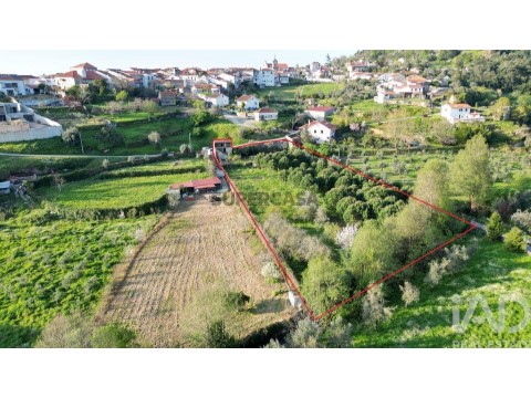 Lote em São Miguel, Santa Eufémia e Rabaçal, Penela