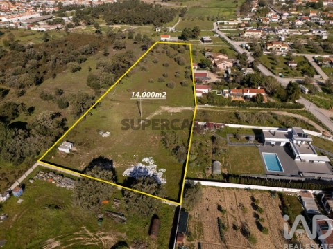 Lote em Azeitão (São Lourenço e São Simão), Setúbal