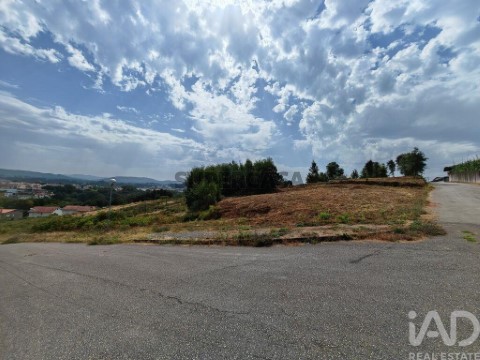 Lote em Vila de Cucujães, Oliveira de Azeméis
