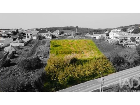 Lote em Cadaval e Pêro Moniz, Cadaval
