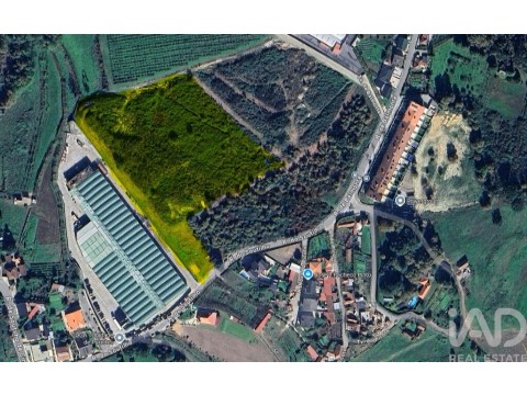 Lote em Paredes, Paredes