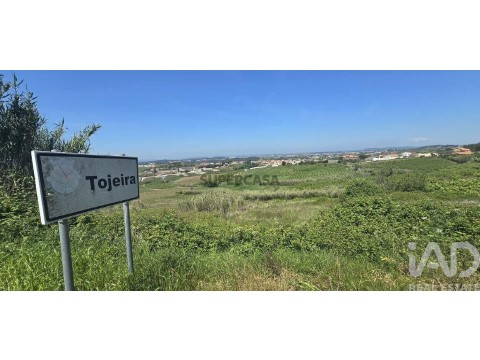 Lote em Vilar, Cadaval