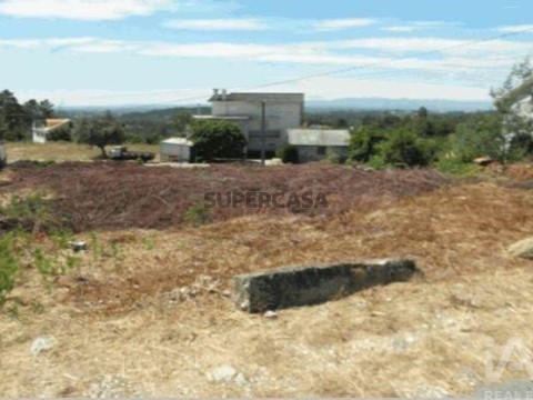 Lote em Covas e Vila Nova de Oliveirinha, Tábua