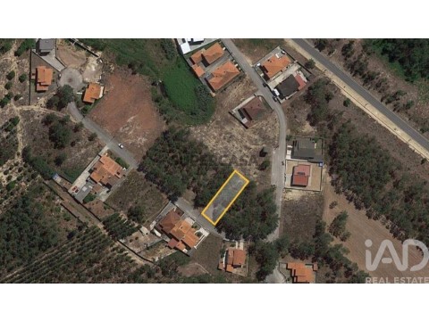 Lote em Amor, Leiria