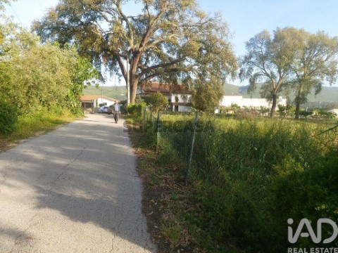 Lote em Pedreiras, Porto de Mós