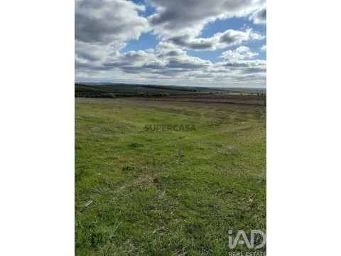 Lote em Baleizão, Beja