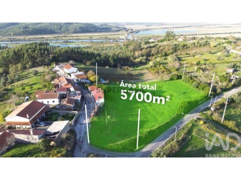 Lote em Tentúgal, Montemor-o-Velho