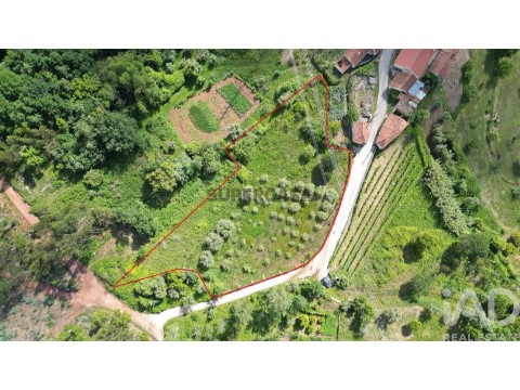 Lote em São Miguel, Santa Eufémia e Rabaçal, Penela
