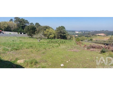 Lote em Aljubarrota, Alcobaça