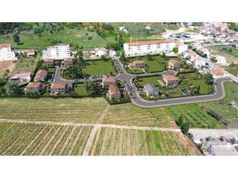 Lote em Alijó, Alijó
