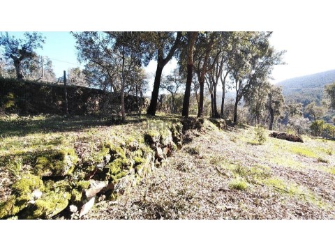Lote em Pedrógão Pequeno, Sertã