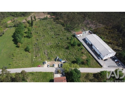 Lote em Sangalhos, Anadia