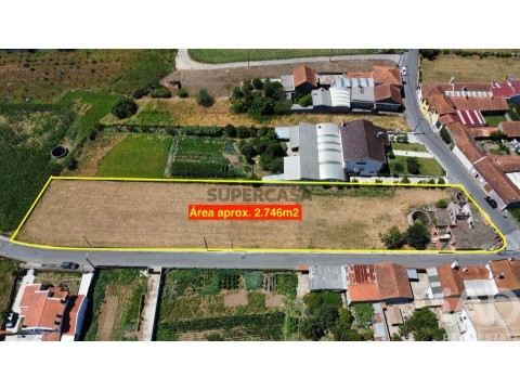 Lote em Requeixo, Nossa Senhora de Fátima e Nariz, Aveiro