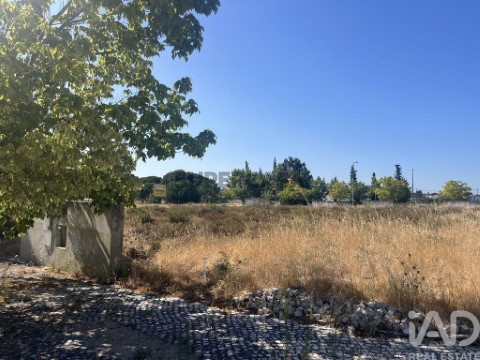 Lote em Alhos Vedros, Moita