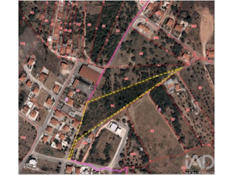 Lote em São João Baptista e Santa Maria dos Olivais, Tomar