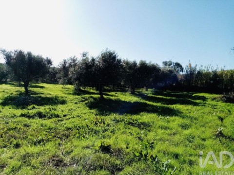 Gründstück auf Pedrógão, Vidigueira