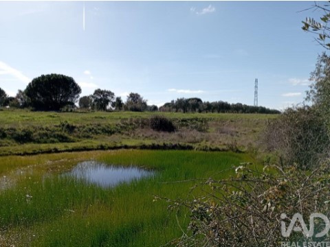 Lote em Vale de Santarém, Santarém