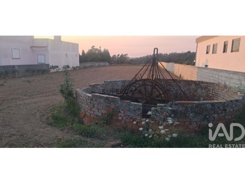 Lote em Ouca, Vagos