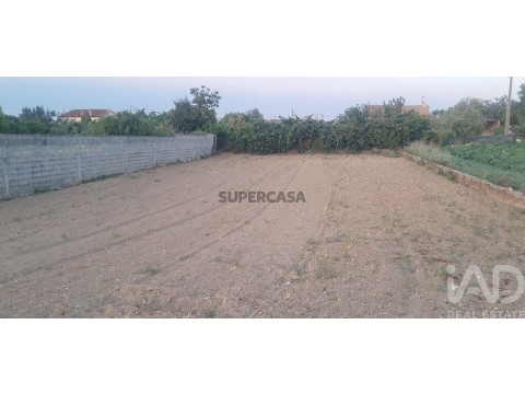 Lote em Ouca, Vagos