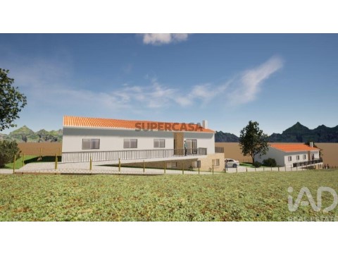 Lote em Cela, Alcobaça