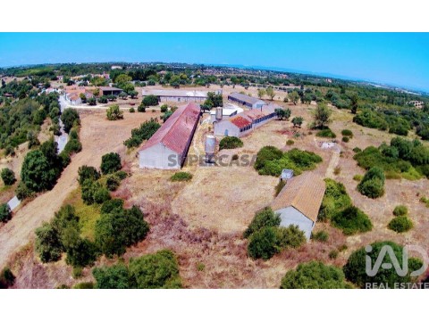 Moradia T3 em Almoster, Santarém