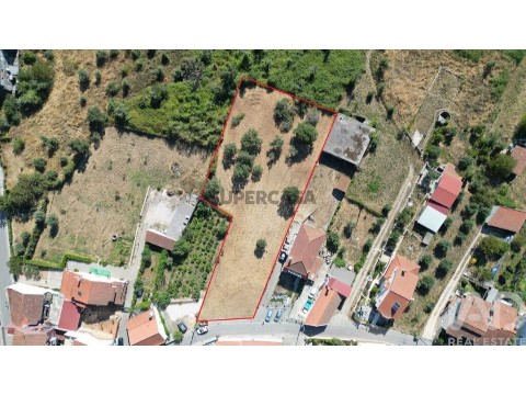 Lote em Avelar, Ansião