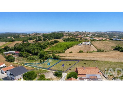 Lote em Bárrio, Alcobaça