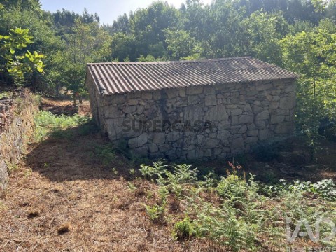 Ferme  au Serrazes, São Pedro do Sul