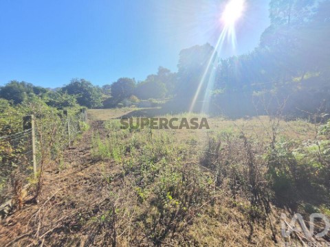 Lote em Loivo, Vila Nova de Cerveira