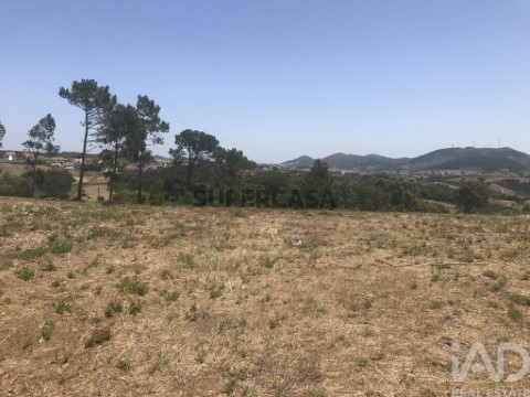 Lote em Venda do Pinheiro e Santo Estêvão das Galés, Mafra
