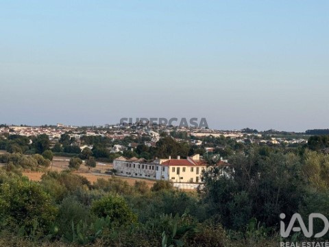 Quinta T0 em Bacelo e Senhora da Saúde, Évora