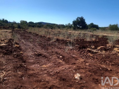 Lote em Alte, Loulé