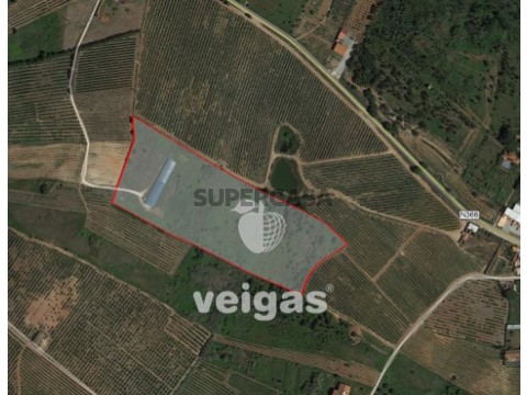 Terreno em Peral, Cadaval