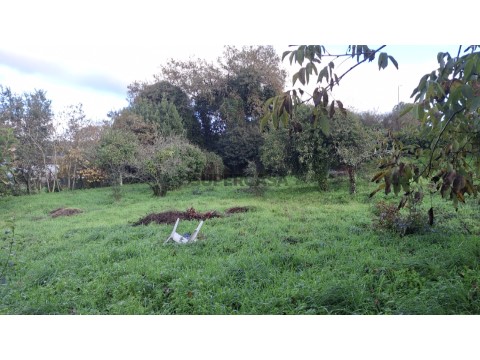 Terreno para Construção em Altura- Castêlo da Maia