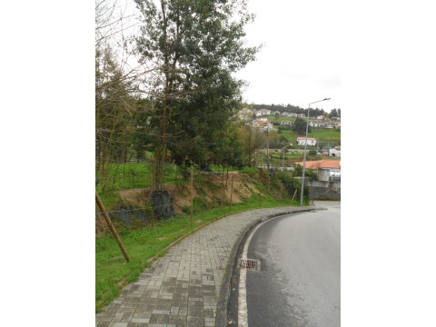 Terreno em Penafiel, Penafiel