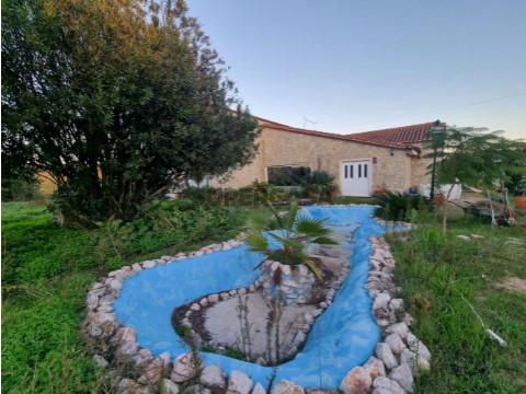 foto-1