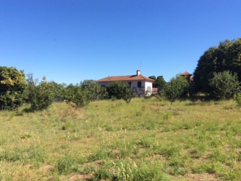 Terreno e Casa Principal